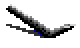 Inventory 81